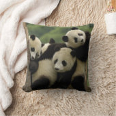 Coussin Bébés panda géant Ailuropoda melanoleuca) (Couverture)