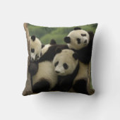 Coussin Bébés panda géant Ailuropoda melanoleuca) (Verso)