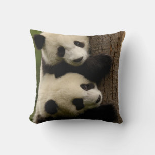 Coussin Bébés panda géants (Ailuropoda melanoleuca) 2