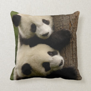 Coussin Bébés panda géants (Ailuropoda melanoleuca) 2