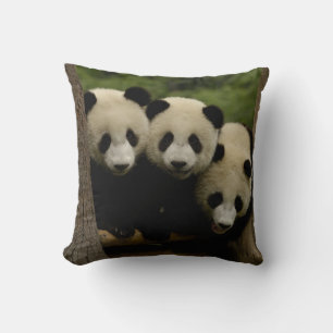 Coussin Bébés pandas géants Ailuropoda melanoleuca)
