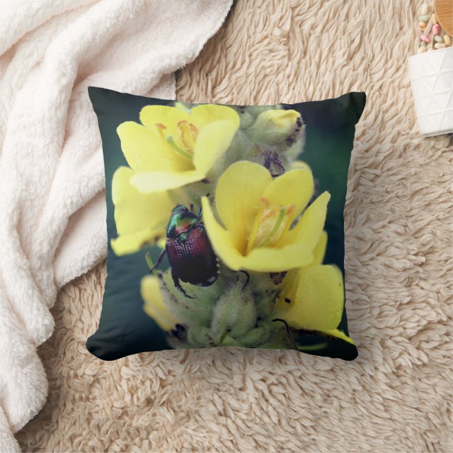 Coussin Beetle sur la fleur Mullein sauvage (Couverture)
