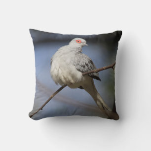 Coussin Belle douceur Diamond Dove