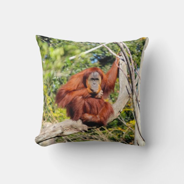 Coussin Belle photo d'orang-outan (Recto)