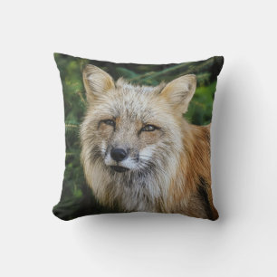 Coussin Belle Renard dans la nature