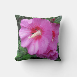 Coussin Belle Rose Rose Rose De Sharon Flower Photo
