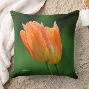 Coussin Belles tulipes pastel orange embrassées par la ros