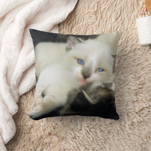 Coussin Benita le chaton (Couverture)