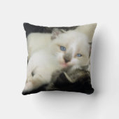 Coussin Benita le chaton (Verso)