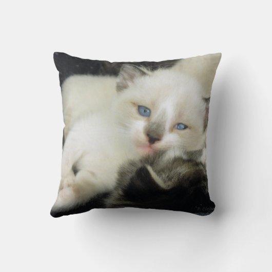 Coussin Benita le chaton (Verso)