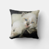 Coussin Benita le chaton (Recto)