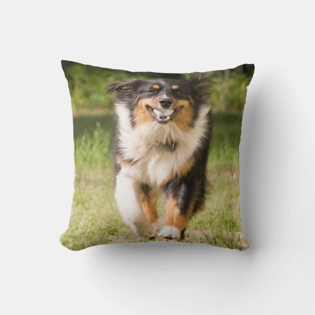 Coussin Berger Australien Jouant Avec Balle (Recto)