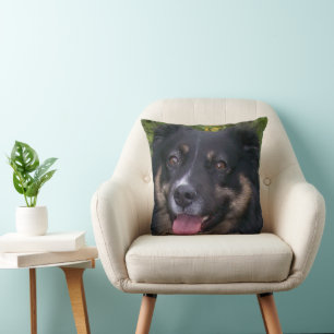 Coussin berger australien tri noir