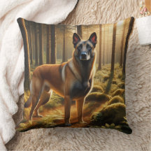 Berger belge Malinois