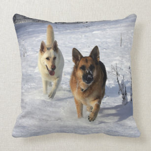 Coussin Bergers allemands courant dans la neige