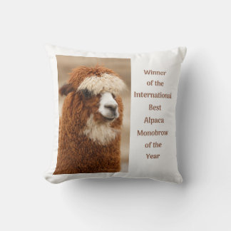Coussin Best Alpaca Monobrow