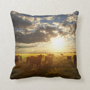 Coussin Bétail dans le domaine, coucher du soleil
