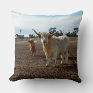 Coussin Bétail sur la perte : Highland Cows Blé Heist