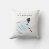 Coussin Big Brother Throw Pillow Baby Stork Février 2020 (Verso)