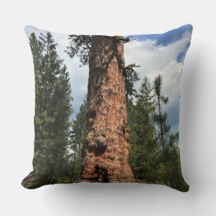 Coussin Big Red Tree, La Pine OU