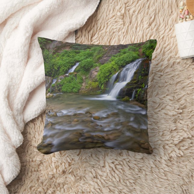 Coussin Big Springs Virgin River | Parc national de Zion (Couverture)