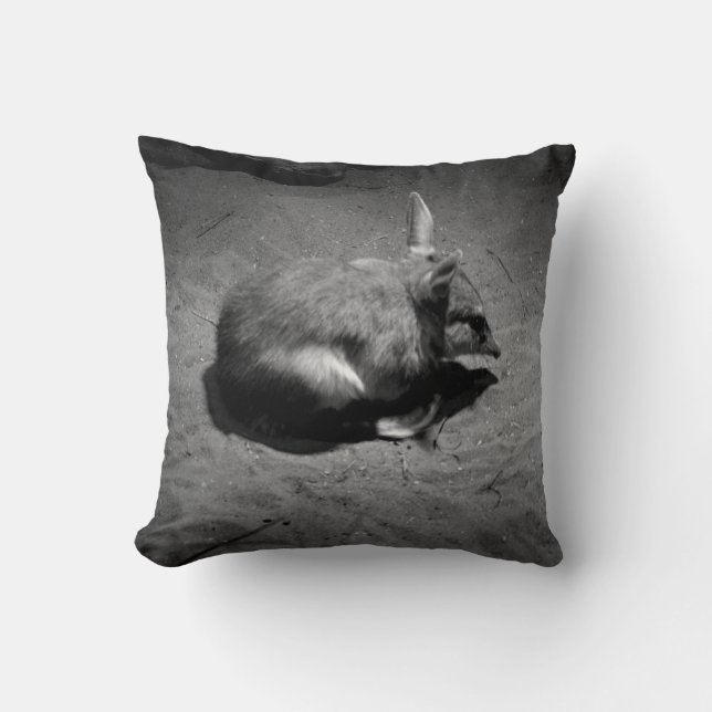 Coussin Bilby Australien, Connu Sous Le Nom De Lapin De Pâ (Recto)
