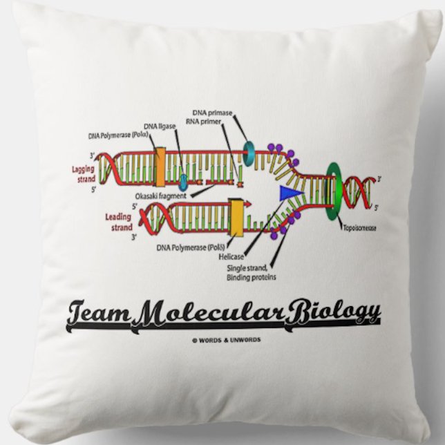 Coussin Biologie moléculaire d'équipe (reproduction d'ADN) (Team Molecular Biology throw pillow featuring DNA replication for any molecular biologist)