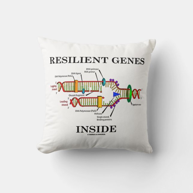Coussin Bioology de réplication d'ADN d'inside resilient (Recto)