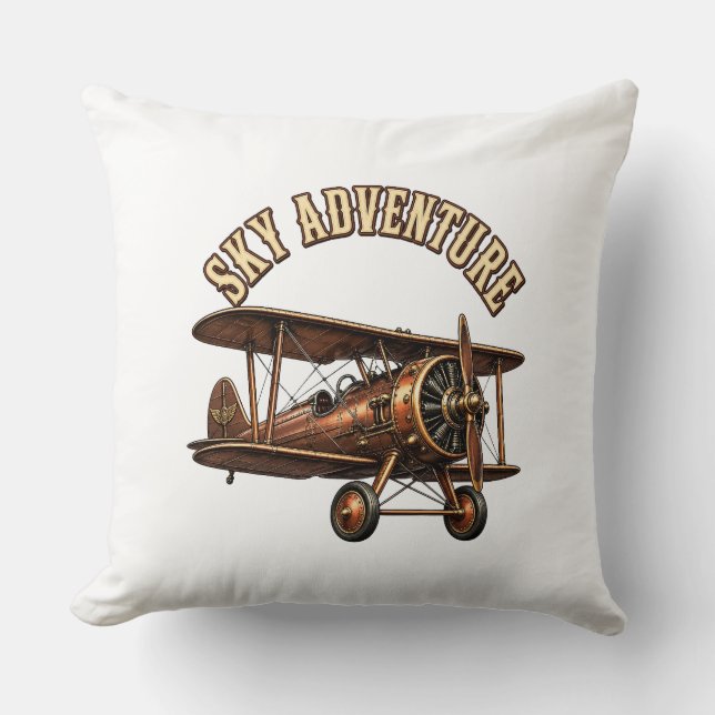 Coussin Biplan vintage.  (Recto)