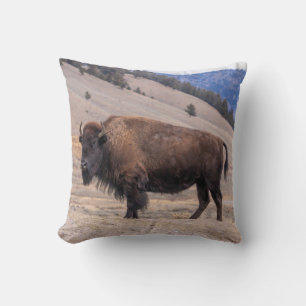 Coussin Bison de Buffalo