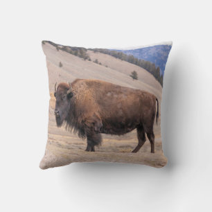 Coussin Bison de Buffalo