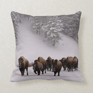 Coussin Bison en hiver