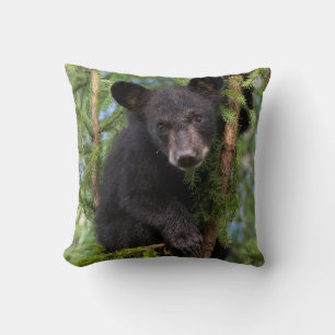 Coussin Black Bear Cub Jouer dans les arbres