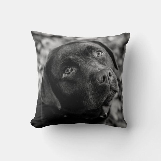 Coussin Black Lab - Coeur d'un chien (Recto)
