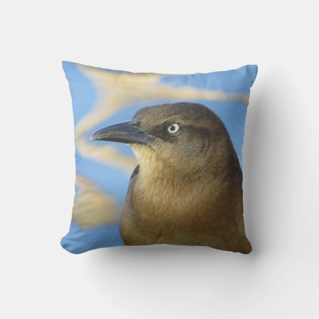 Coussin Blackbird Stare Photo avec Blue Water Nature (Recto)