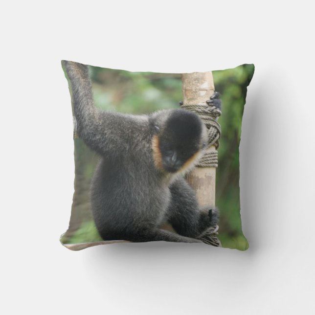Coussin blanc de capucin de Cheeked (Recto)