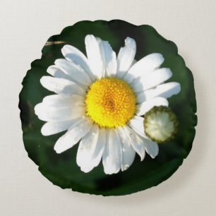 Coussin blanc de la marguerite