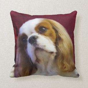 Coussin Blenheim cavalier de carreau du Roi Charles