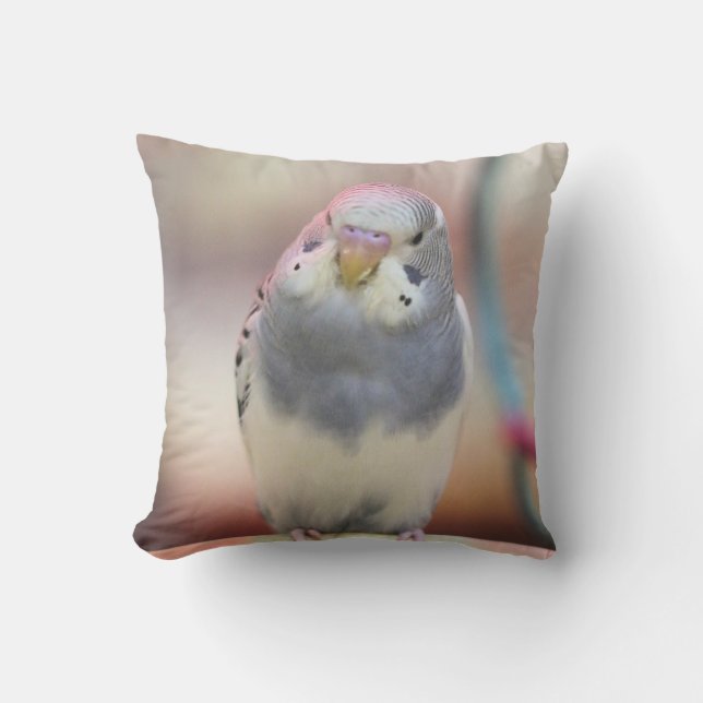 Coussin Bleu (Recto)