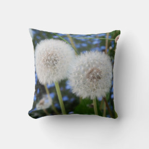 Coussin bleu, beurtasse, plante, pissenlit, prairie, blanc