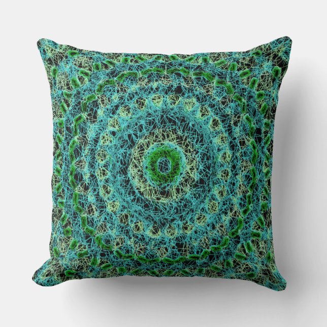Coussin Bleu de plage et Spiderweb vert (Recto)