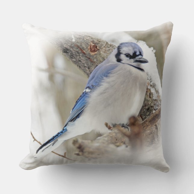 Coussin Bleu Jay Songbird en neige (Recto)