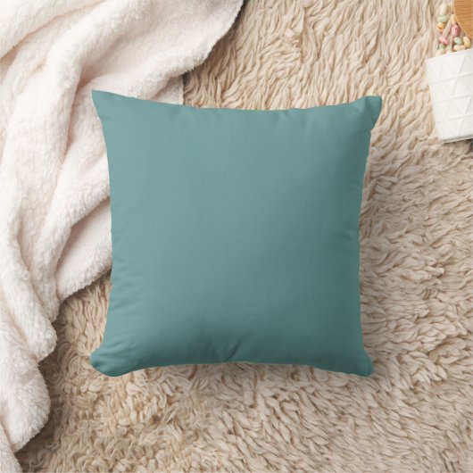 Coussin bleu poudre solide (Couverture)