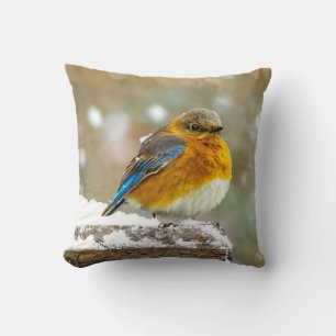 Coussin Bleuet de l'Est en neige - Photo originale