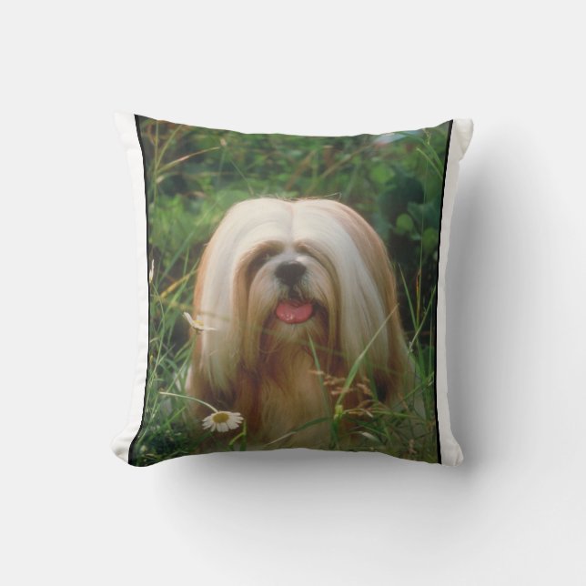 Coussin blond de Lhasa Apso (Recto)