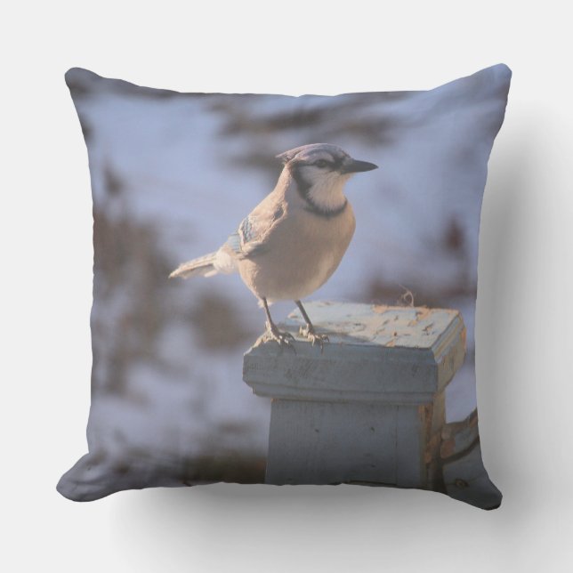 Coussin Blue Jay (Recto)