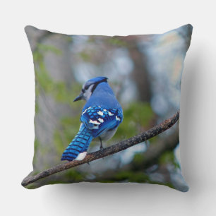 Coussin Blue Jay