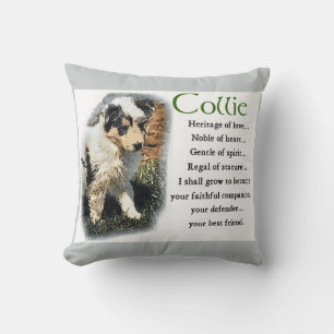 Coussin Blue Merle rough Collie Puppy