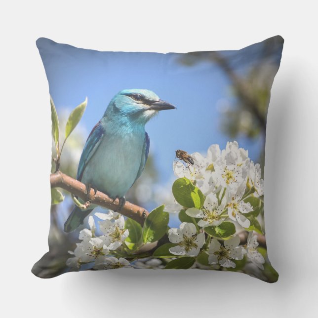 Coussin Bluebird de montagne (Recto)
