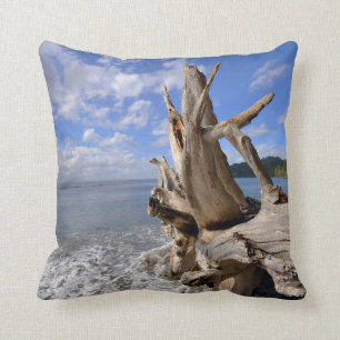 Coussin Bois de flottage sur Shoreline de plage française